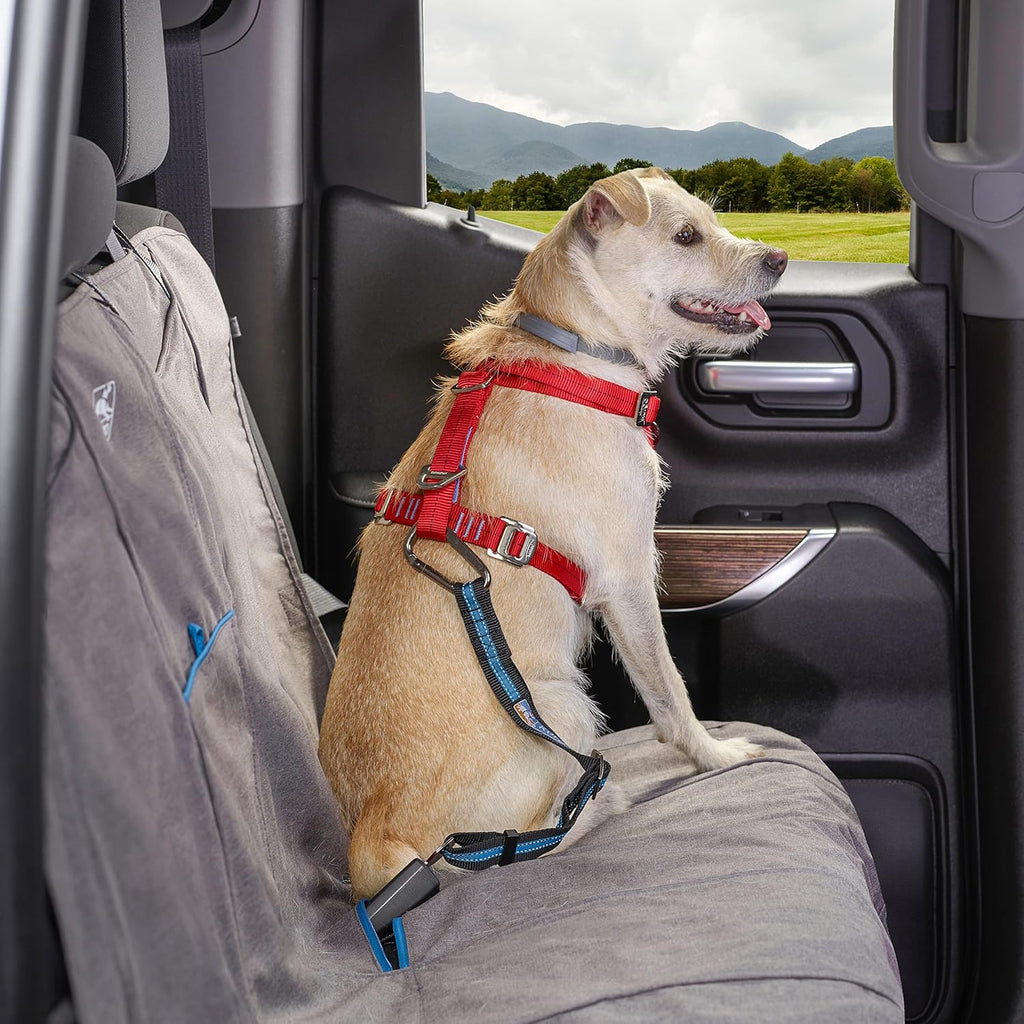 Direct to Seatbelt Tether - Easy-Use Dog Car Harness Clip - Adjustable Ride Strap - Universal Fit for Most Vehicles - All Steel Hardware - Backseat Restraint - Coastal Blue