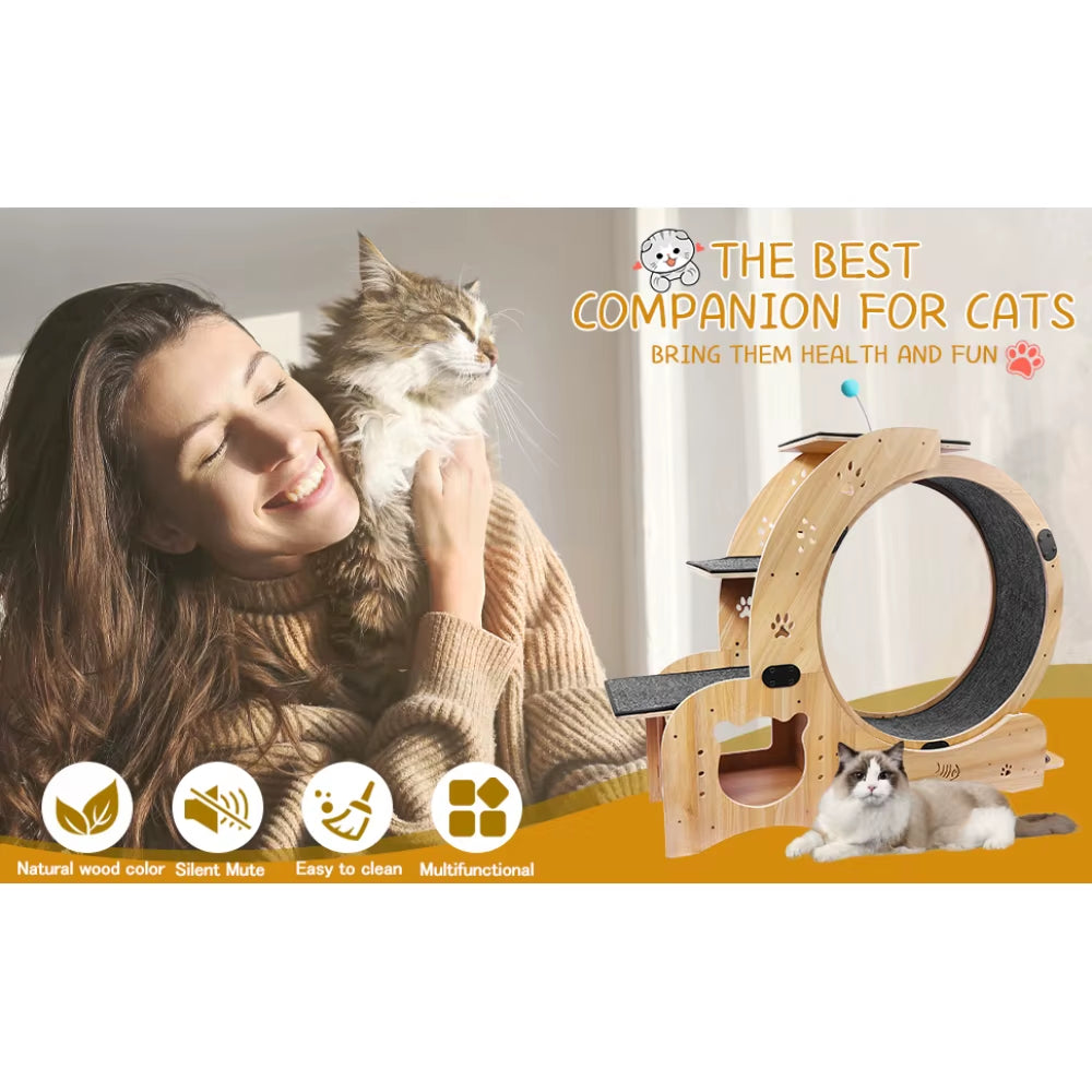 Cat Wheel 6-In-1 Cat Exercise Wheel,Upgraded Cat Wheel Exerciser for Indoor Cats,Large Cat Treadmill,Cat Running Wheel