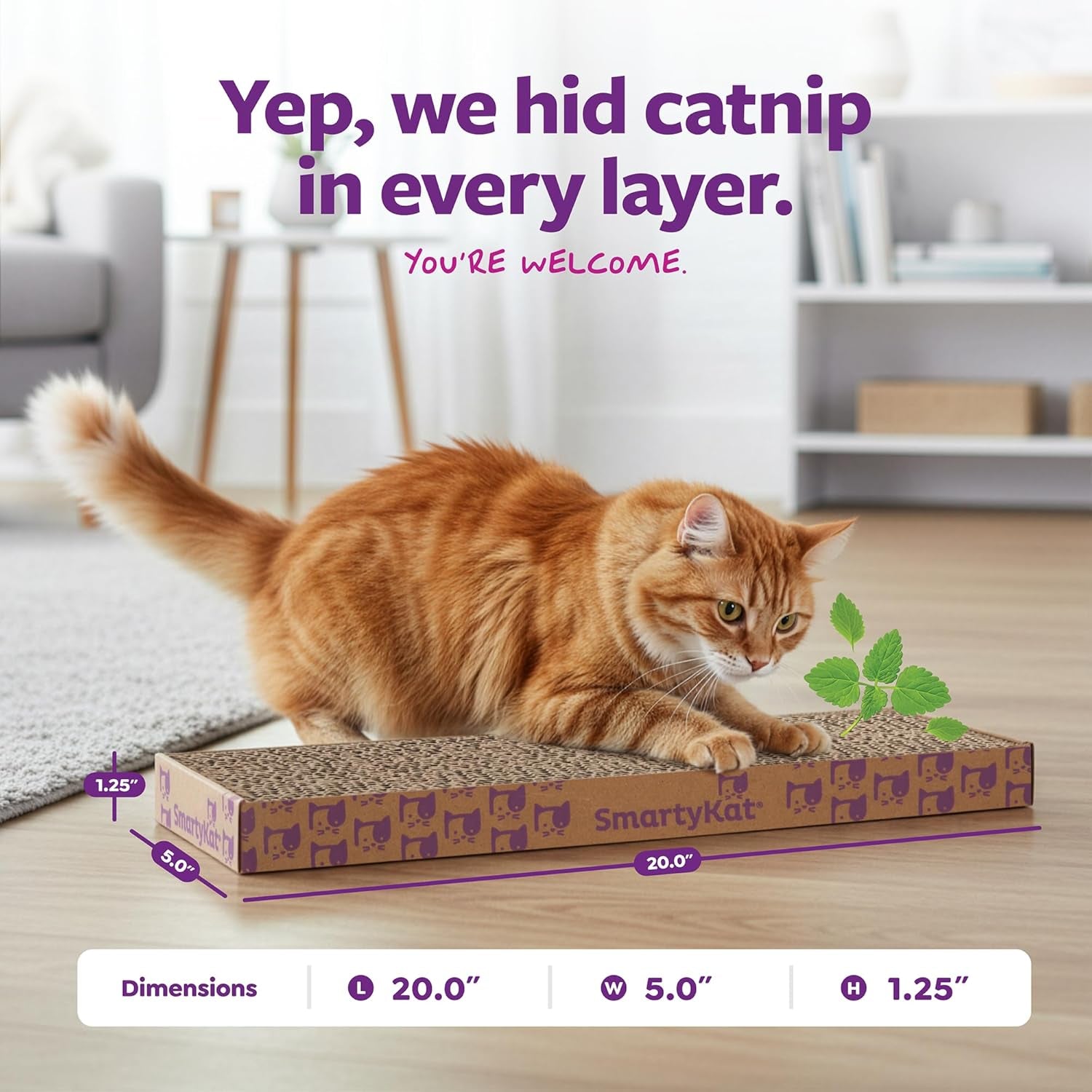 Scratch up Corrugated Hanging Cat Scratcher, Catnip Infusion Technology - Brown, Single Wide