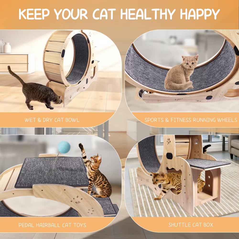 Cat Wheel 6-In-1 Cat Exercise Wheel,Upgraded Cat Wheel Exerciser for Indoor Cats,Large Cat Treadmill,Cat Running Wheel