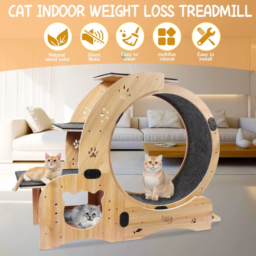 Cat Wheel 6-In-1 Cat Exercise Wheel,Upgraded Cat Wheel Exerciser for Indoor Cats,Large Cat Treadmill,Cat Running Wheel