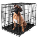 Foldable 48" Wire Crate for Dogs with Divider and Leak-Proof Tray